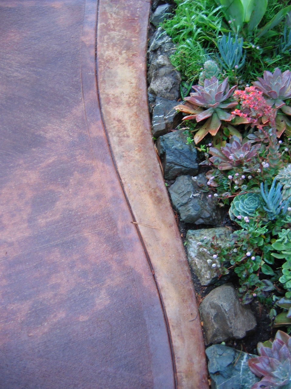 Border detail 1