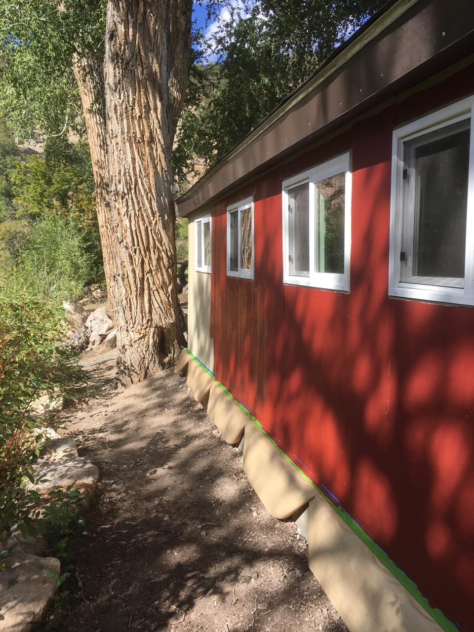Siding and paint on back wall