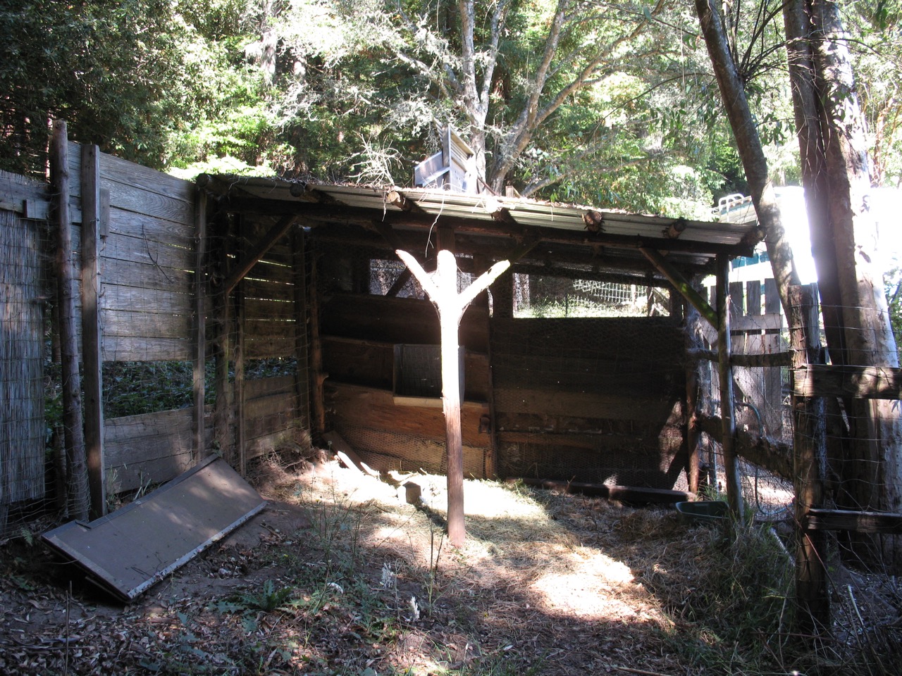 Goat shed